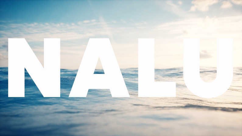 nalu meaning