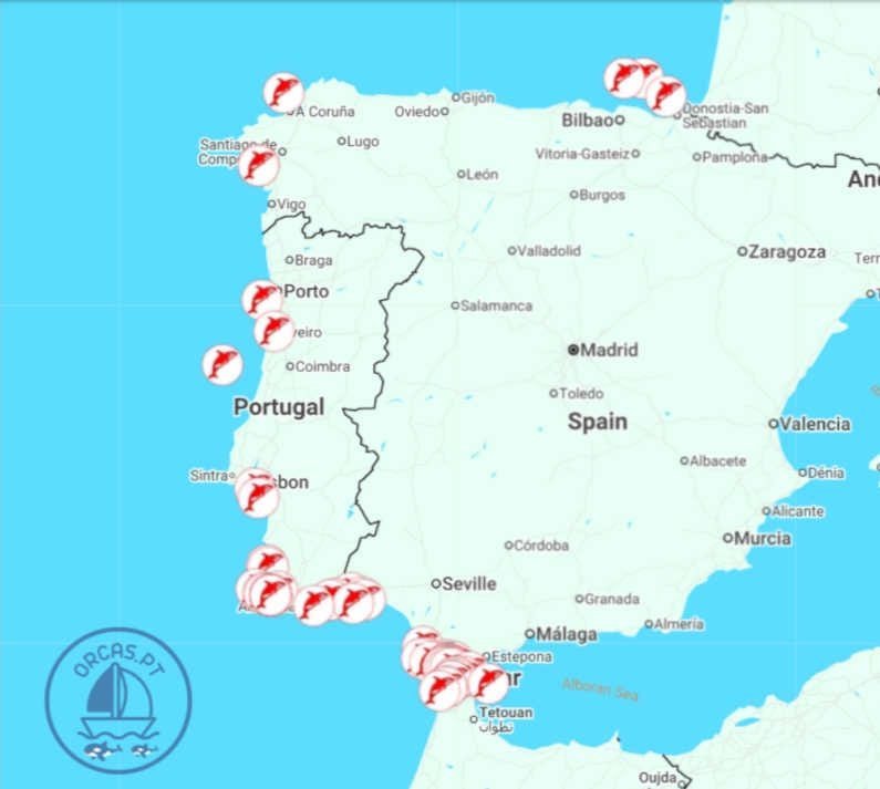 orcas.pt map orca interactions orcas.pt map orca interactions
